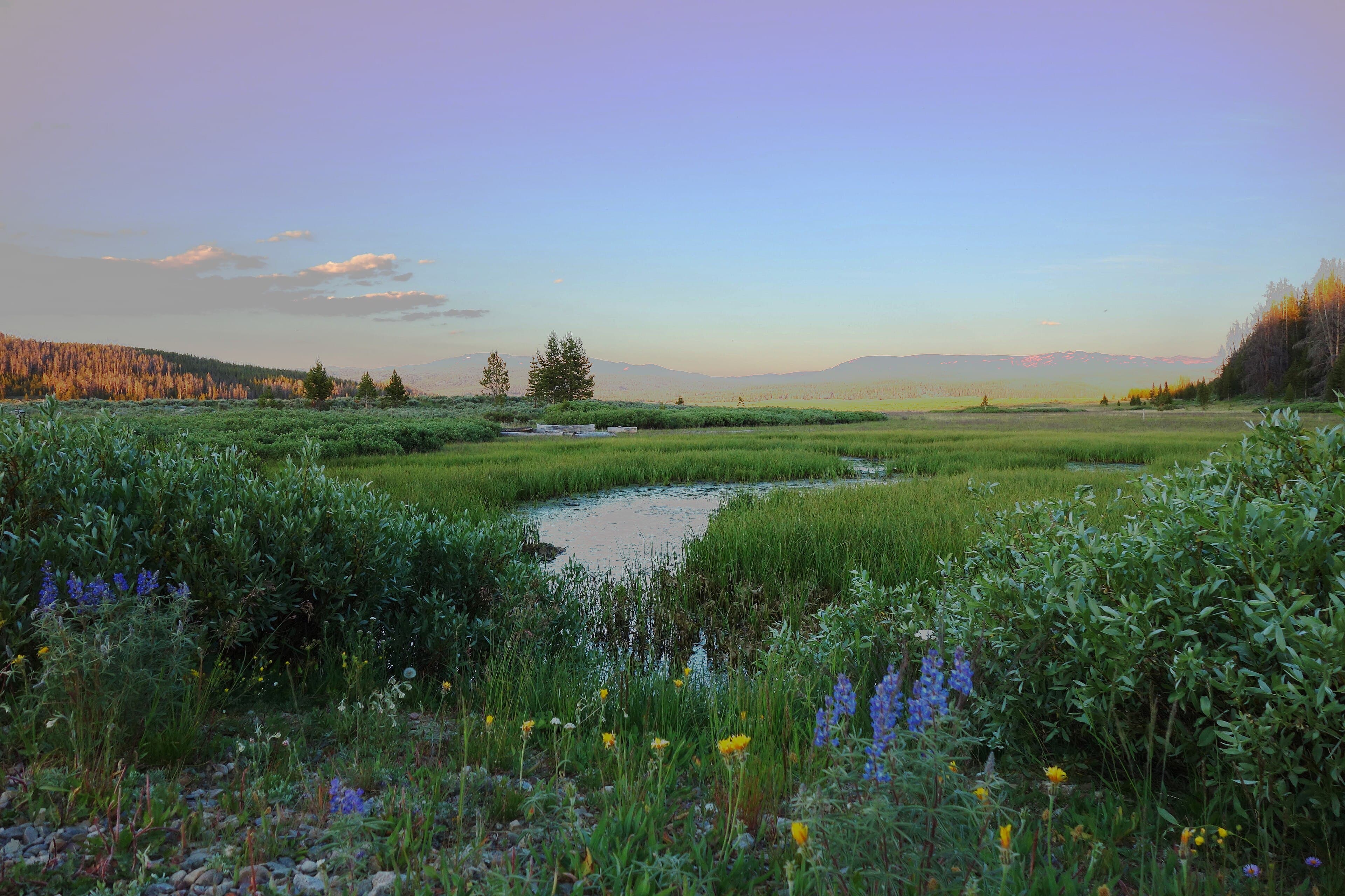 Fish Creek on the Upper Green River, Pinedale Ranger District, Bridger-Teton National Forest.